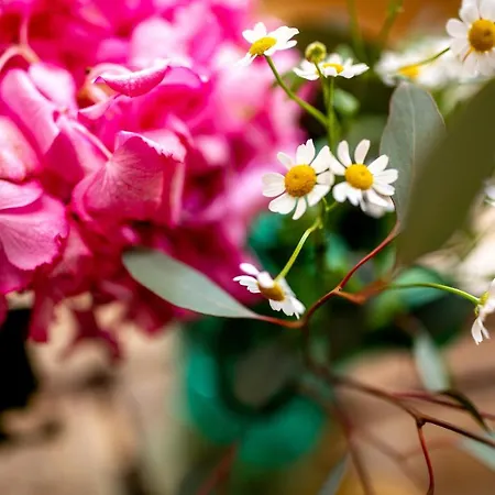 Und Restaurant Haus Sajons 4* Plau am See